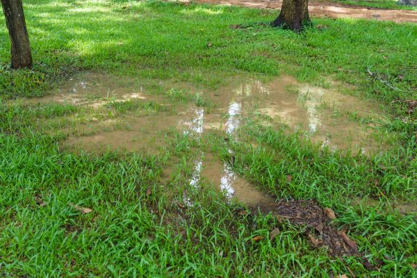 Cost of Storm Water Drainage Service in Carmel