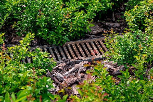 Cost of Underground Drainage Service in Carmel