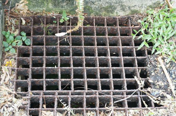 Cost of Yard Drain Cleaning in Carmel