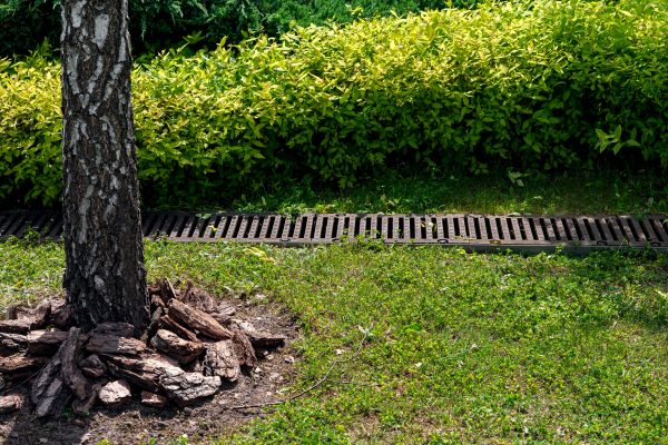 Cost of Wet Yard Drainage in Carmel