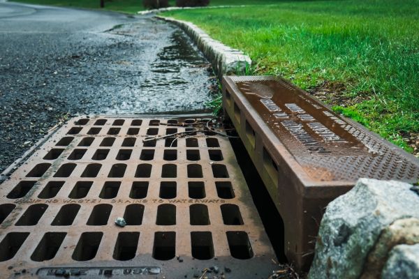 Cost of Storm Drain Repair in Carmel