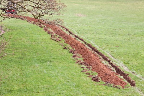 Cost of Swale Installation in Carmel