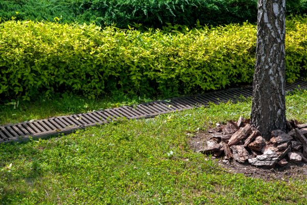 Cost of Residential Landscape Drainage in Carmel