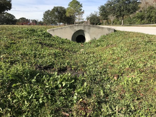 Cost of Swale Drainage Service in Carmel